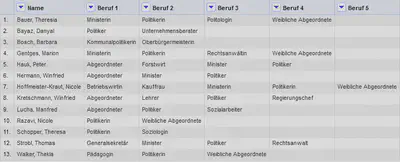 Bildschirmfoto mit der Spalte Beruf auf mehrere Spalten aufgeteilt.