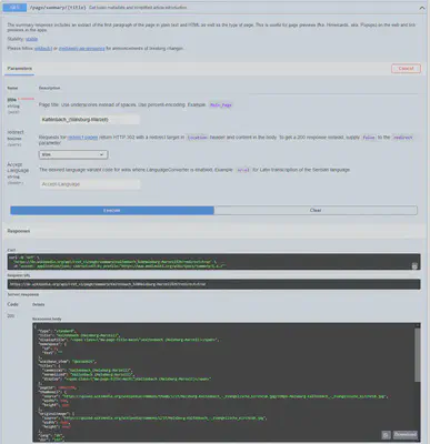 Bildschirmfoto der interaktiven OpenAPI Dokumentation der Wikimedia REST API.